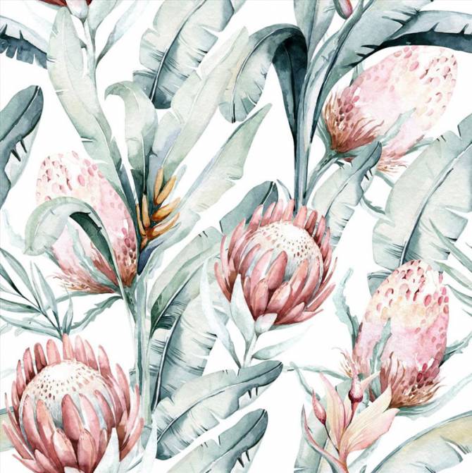 Fototapeta Karczoch protea pattern