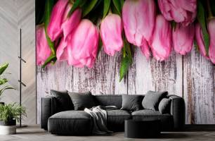 Wybierz Fototapeta tulipany Korzeń tapety na ścianę