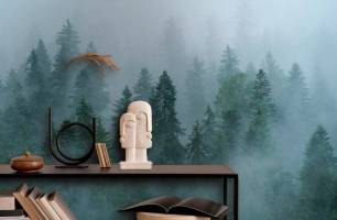 Wybierz Fototapeta Mgła nad lasem Fototapeta natura na ścianę