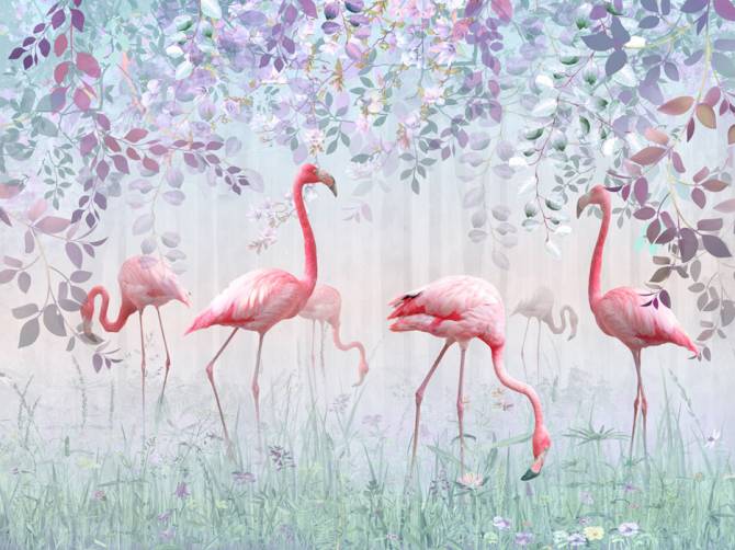 Fototapeta Flamingi i zieleń