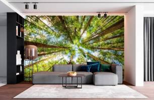 Wybierz Fototapeta las na sufit Mural ścienny do sufitu na ścianę