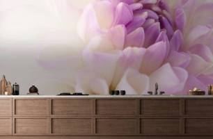 Wybierz Fototapeta biało-liliowy kwiat  na ścianę