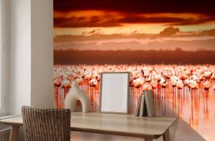 Wybierz Fototapeta Flamingi Korzeń tapety na ścianę