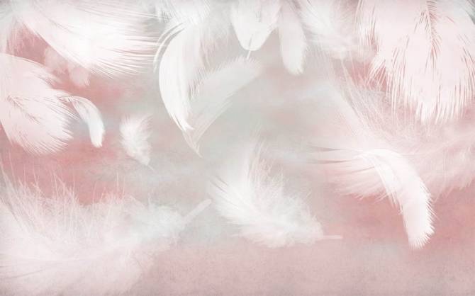 Fototapeta białe pióra na różowym tle