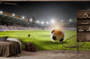 Wybierz Fototapeta piłka na boisku piłkarskim Sportowe tapety na ścianę
